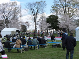 花見客で賑わう公園