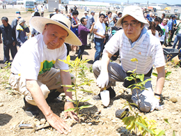 植樹をされる細川(元総理)理事長と 宮脇(教授)副理事長